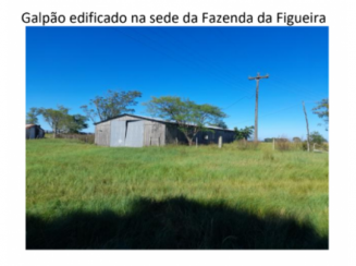 Área ideal de 50 hectares com benfeitorias no lugar “Faxina”