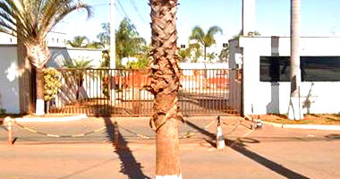 Apartamento com 44,48 m² e vaga de garagem em Valparaíso de Goiás