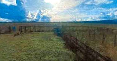 Imóvel Rural com 97,7589 HA em Corumbiara