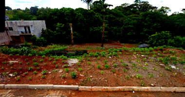 Terreno Urbano Retangular 216m² Sem Benfeitorias