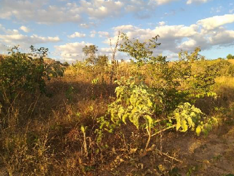 Terreno 3.906m² no Jardim da Barragem VI - Águas Lindas de Goiás