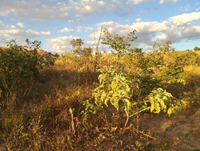 Terreno 3.906m² no Jardim da Barragem VI - Águas Lindas de Goiás