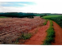 Sítio Nossa Senhora Aparecida com 21,33ha em Itaberá/SP