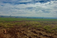 Fração Ideal de 42,05% em Terreno Rural em Maringá/PR