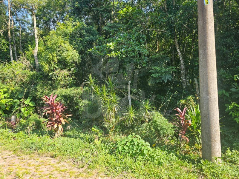 Terreno urbano de 922,5 m² no Loteamento Avifauna