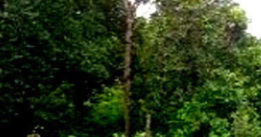 Terreno amplo de 2.352,73m² desocupado, ideal para investimento