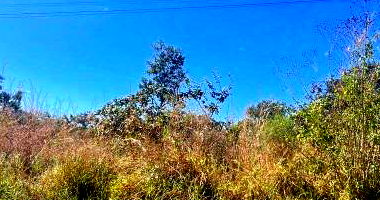 Terreno com Direitos Possessórios em Brasília