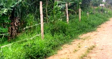 Terreno amplo de 396,80m² em Biguaçu, desocupado