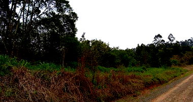 Terreno Rural com 99.129 m² em União da Vitória/PR