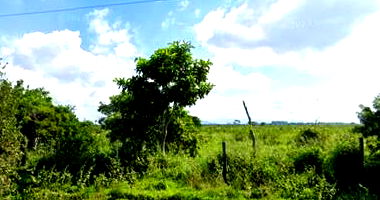 Área Rural em Campos dos Goytacazes/RJ com 2.502.238m²