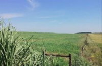 Gleba Rural de 11ha em Maçambará/RS