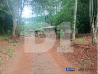 Sítio Rural 4,84ha em Tamarana/PR - Oportunidade Única