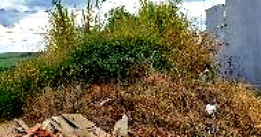 Terreno 250m² com matrícula e IPTU regularizados