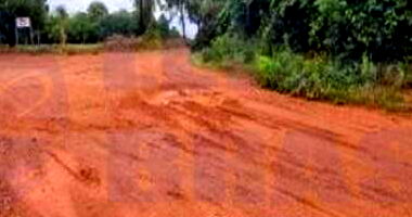 Fazenda com 10,50 Alqueires em Santa Tereza de Goiás