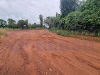 Fazenda com 10,50 Alqueires em Santa Tereza de Goiás