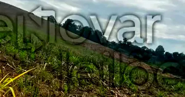 Lote Rural com 79.626m² em Santa Rosa - RS