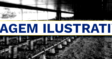 Conjunto Completo de Equipamentos para Aviário