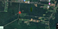 Área Rural com 20 ha - Gurupá