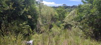 Terreno rural de 25.871,02m², ideal para investimento