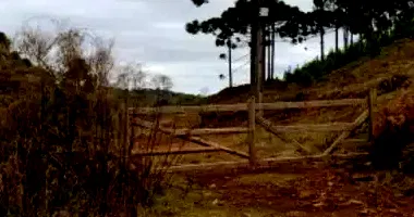 Fazenda DH Group com 411.400 m² em Capão Alto/SC