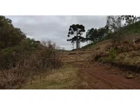 Fazenda DH Group com 411.400 m² em Capão Alto/SC