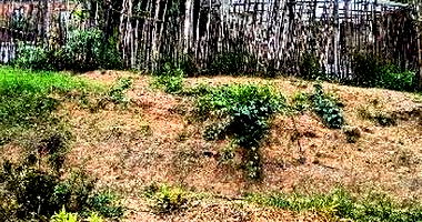 Terreno amplo sem área privativa, sem benfeitorias