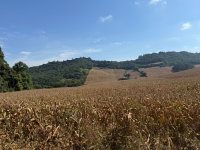 Terreno rural de 151.000m², ideal para investimento