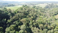 Terreno rural de 23 hectares em Cachoeira Branca