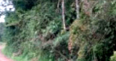 Lote amplo de 955m² em Cordilheira Alta, terreno ideal para construção