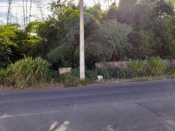 Excelente Terreno com 5000m² para Investimento