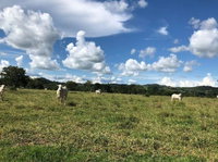 Imóvel Rural com 45,7370HA em Colorado do Oeste/RO