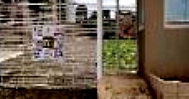 Apartamento 48,9m² com 2 quartos, 1 banheiro e 1 vaga