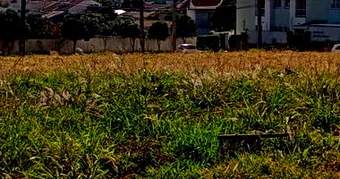 Terreno Urbano com 480m² em Cascavel/PR - Desocupado