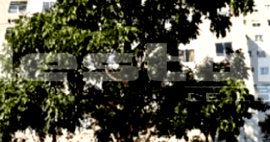 Apartamento com 2 quartos no Jardim Boa Vista/SP