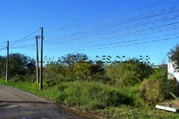 Terreno com 500m² em Bairro Floresta