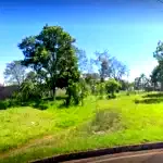 Imóvel Rural Engenho Falcão com 412 Hectares em Aliança/PE