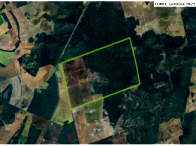 Fazenda com Casa e Galpão em Pastagem Natural