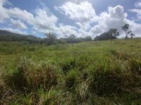 Lote de 1000 m² em Parque das Margaridas