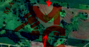 Terreno Rural com 72,6 Ha em Braganey-PR