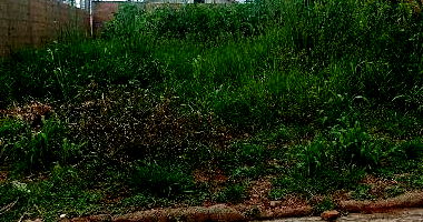 Terreno em Oneida Mendes II - 200m² Desocupado