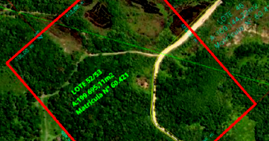 Terreno Comercial em Colônia Alexandra - 19,97 ha