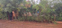 Casa com 50m² em Roque Gonzales/RS
