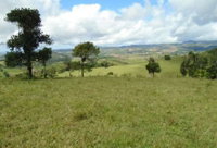 Imóvel Rural, 58,6ha, Sairé/PE