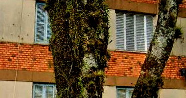 Apartamento na Zona Sul - Condomínio Vila Maria