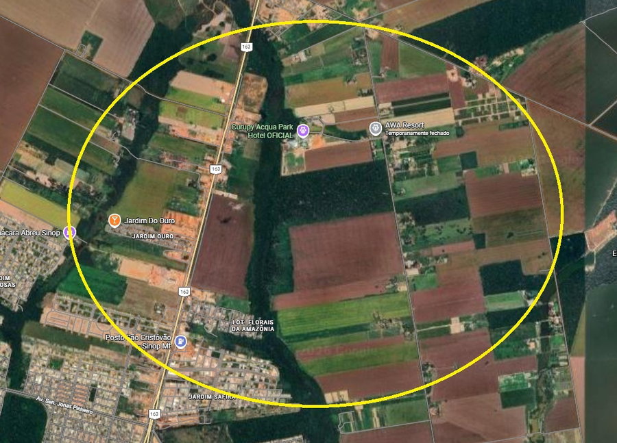 Fazenda com 193,60 hectares, 20% de participação, ideal para investimento rural