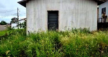 Casa em Guariba/SP com 2 quartos