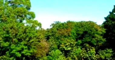 Terreno em leilão com área total em Paiçandu/PR