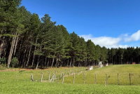 Terreno Rural com Parte Ideal e Reflorestamento em Rio Negrinho/SC