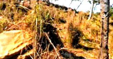 Parte ideal de imóvel rural com 10,9605ha