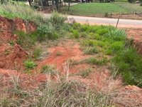 Imóvel urbano com 295,12 m² em Canaã-MG